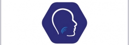 Radio Memory